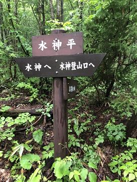 銀嶺の果て2 泉ヶ岳登山の話 Imo Kanegonのブログ Imo Kanegonの寓居 みんカラ