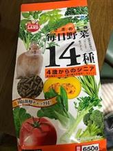 うさぎ うさぎ