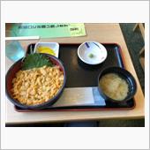 今が旬！生うに丼