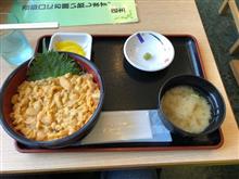 今が旬!生うに丼 今が旬!生うに丼