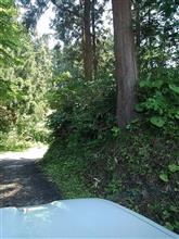 ゆる系ダート散策 ゆる系ダート散策