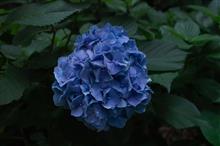 大人の時間 大人の時間