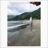 海開き前に