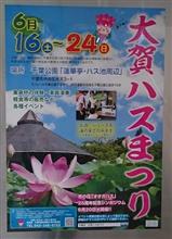 「大賀ハス」を観てきました