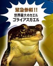 18年6月の月別ブログ一覧 Hitotsuyaのページ みんカラ
