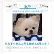祝・みんカラ歴6年！