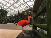 みん友さんが遊びに来てくれました(^^) みん友さんが遊びに来てくれました(^^)