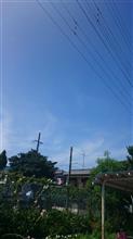 こんな良い天気なのになぁ