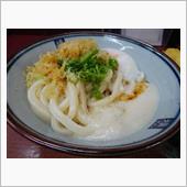 とろ玉うどん