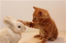 ❤️褒めること❤️ ❤️褒めること❤️