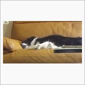 いまごろ家では