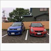 猫と馬とイグニスと