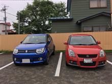 猫と馬とイグニスと
