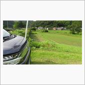 休耕田の草刈り