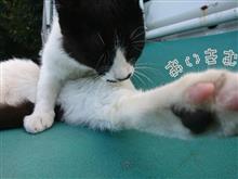 納車シたものの。