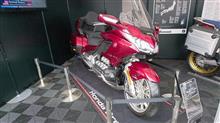 Enjoy Honda 2018 Enjoy Honda 2018