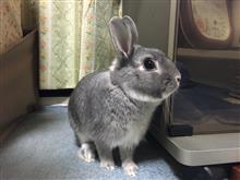 おまえっがぁ♪言ったさよならぁ〜♪ おまえっがぁ♪言ったさよならぁ〜♪