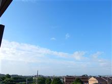 ７月９日　長い５日間が始まる月曜日、おはよ～♪