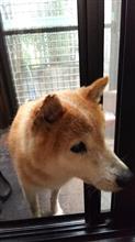 今年も 今年も