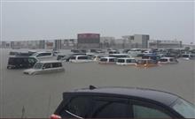 リーフは水没して電池を残す