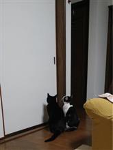 太陽の夏休み