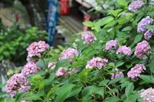 2018.07.08　西国第二番『紀三井寺』、第三番『粉河寺』