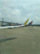 成田空港到着