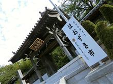 初めて地元のほうずき市へ