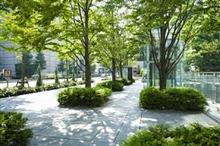 日本の街を見て気づいた　都会でも日本の空気は　美しいと感じさせる要素とは？＝中国メディア 