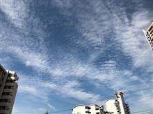 心を清めて来ました 心を清めて来ました