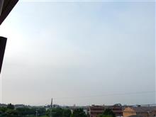 ７月１７日　朝から蒸し暑い火曜日、おはよ～♪