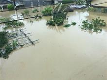 2018年7月豪雨災害、まずは募金しましょうの記事。是非リンクを拡散下さいm(__)m 2018年7月豪雨災害、まずは募金しましょうの記事。是非リンクを拡散下さいm(__)m