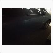 新しい仲間