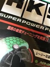 毒キノコ 毒キノコ