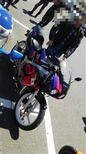 HONDA NS-1ゴリオ様スペシャル&SUZUKI 34シュワンツ ペプシスペシャル inレーサーレプリカビッグフェスティバル2018春🌸‼️ HONDA NS-1ゴリオ様スペシャル&SUZUKI 34シュワンツ ペプシスペシャル inレーサーレプリカビッグフェスティバル2018春🌸‼️