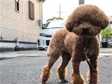 チロルへ^_^ チロルへ^_^