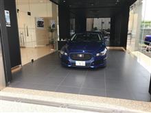 JAGUAR XE KEI NISHIKORI EDITION