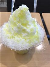 限定かき氷三昧