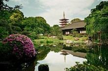 ショッピングもグルメも、観光もいいが　日本旅行で　必ずやるべきことは、これだ！＝中国メディア