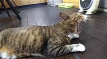 約束 約束