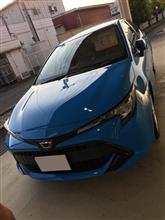 続・夏の新型車巡り 続・夏の新型車巡り