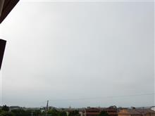 ７月２４日　朝から蒸し暑い火曜日、おはよ～♪