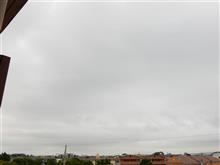 ７月２５日　猛暑日から解放されそうな水曜日、おはよ～♪