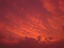 夕空♪ヽ(&#180;▽｀)/