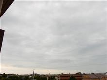 ７月２６日　過ごし易くなりそうな木曜日、おはよ～♪