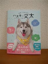 本：世界一平和な顔のハスキー文太