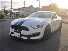 快音!GT350 快音!GT350