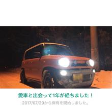 愛車と出会って1年！