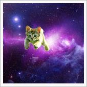 ピョン吉号宇宙に行く…？😆