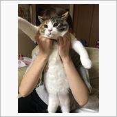 娘II の顔写真